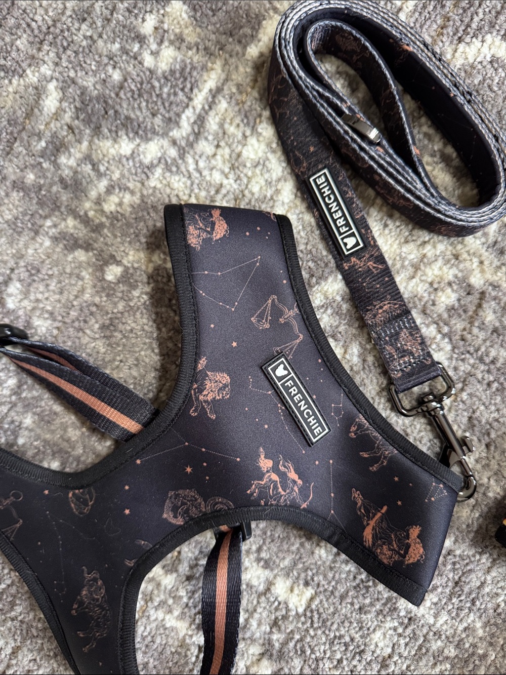 Frenchie Bulldog Reversible Harness and Leash Set Horoscope Print Neutral